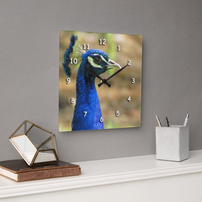 Quadrado Relógio - Retrato de Pavão (Escritório)