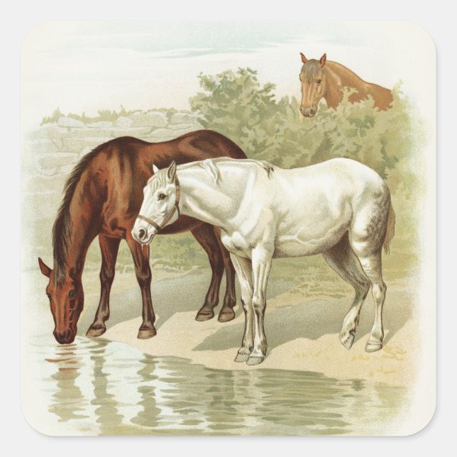 Quadrado Vintage equina qualquer adesivo (Frente)