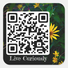 Quadrado viva curiosamente adesivo