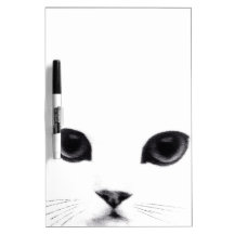 Cara branca preta doce do gato