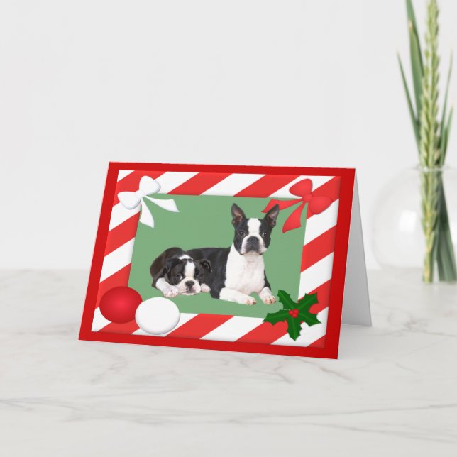 Quadro de Cartão de Natal de Boston Terrier (Frente)