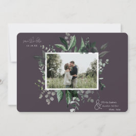 Quadro de Fotografia Verde de Folha Botânica Salva