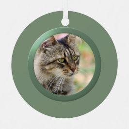 Quadro de Fotografias de Pet Personalizadas (Verde