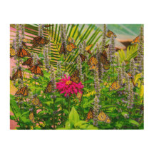 Arte em Madeira para Parede Borboletas Monarca 35,