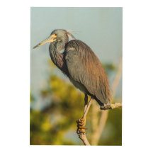 Bird Perfect 24 x 36 Wood Wall Art