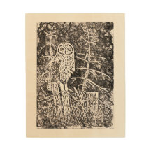 Impressão de madeira de Linocut da coruja