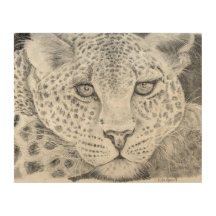 Leopardo