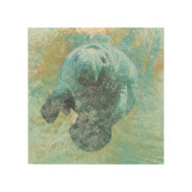 Manatee Wooden Wall Art