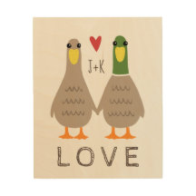 Patos de Amor