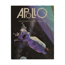 Quadro De Madeira Programa Apollo