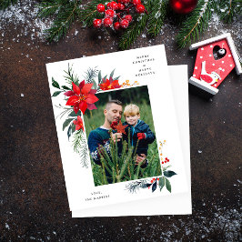 Quadro de Poinsettia de Orçamento V Feriado de Fot