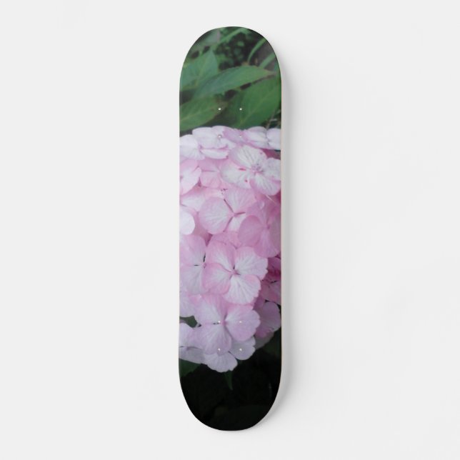 Quadro de Skateboard de Hydrangia Rosa (Frente)