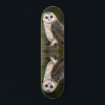 Quadro de Skateboard do Barn Owl Ocidental<br><div class="desc">Western Barn Owl - Pássaro da Floresta Bonita de Pintura por Aquarela</div>