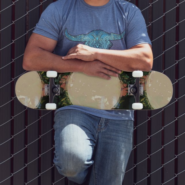 Quadro Skateboard (Ao ar livre 3)