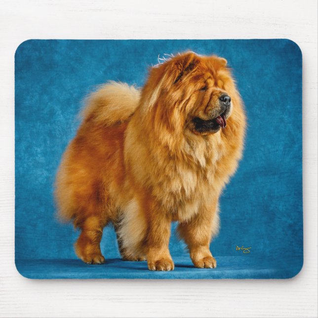 Quahrma Chow Chow Mousepad (Frente)