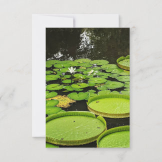 Quaisquer Cartões de Ocasião