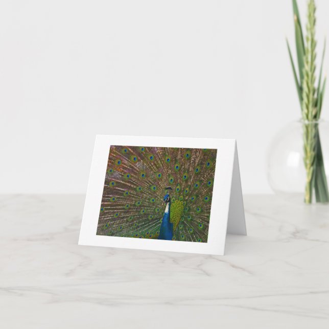 Quaisquer Cartões de Ocasião (Frente)