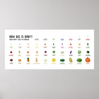 Qual é o tamanho do bebê? Fruta de poster de taman