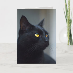 qual era o cartão de saudação do seu gato