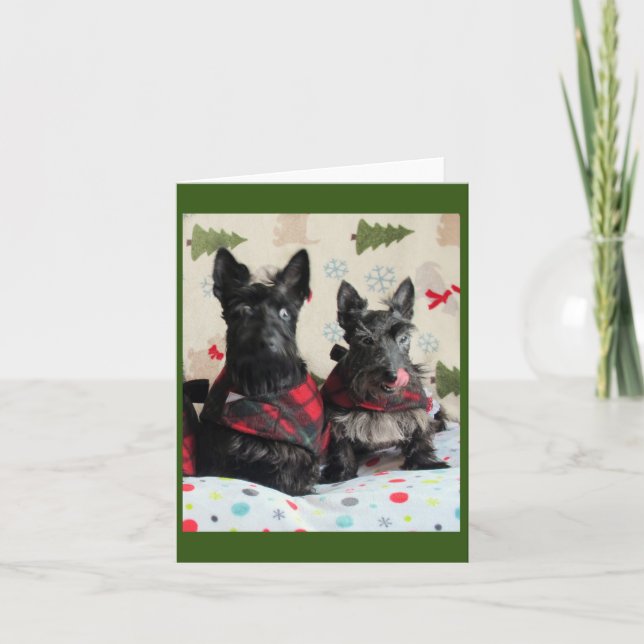 Qual Rena? Cartão (Frente)