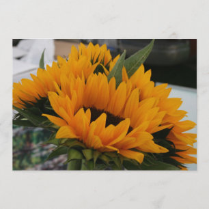 Quase um Girassol Guarde o Cartão de Data