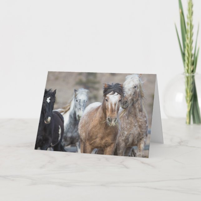 Quatro adaptadores - Cartão de saudação galopante  (Frente)