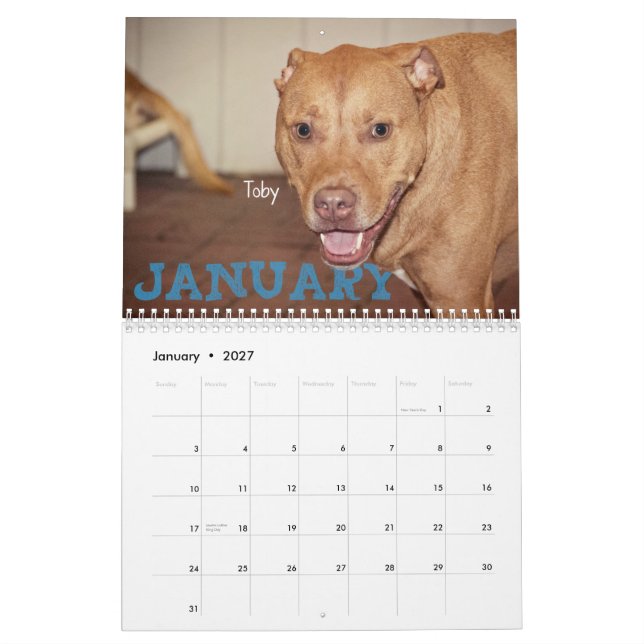 Quatro calendário das patas 2014 (Jan 2027)