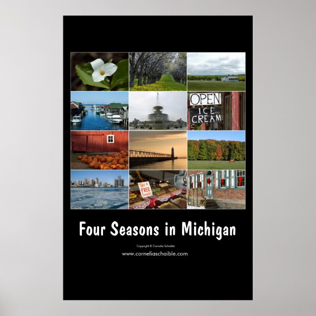 quatro estações em Michigan poster (Frente)