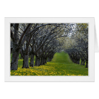 quatro estações no cartão Michigan 02