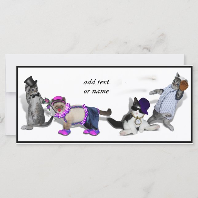 Quatro Gatinhos Em Jogo (Frente)