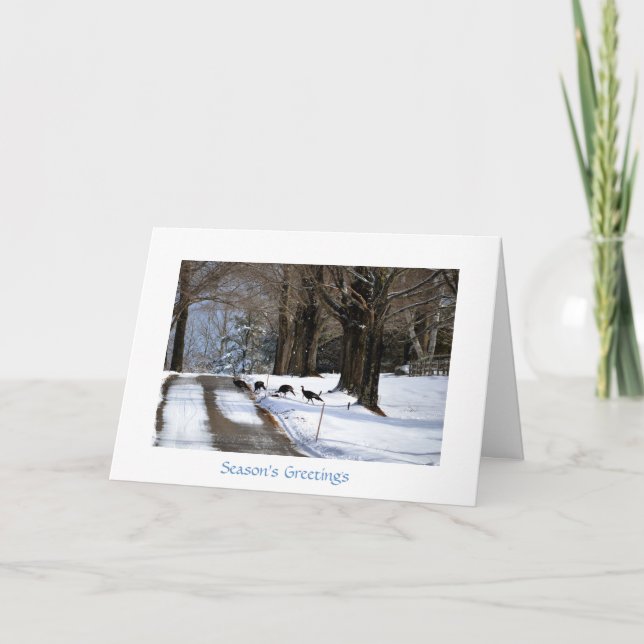 Quatro perus selvagens - cartão do feriado (Frente)