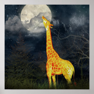 Que a lua prova como? Poster do girafa e da lua