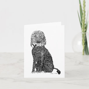 Que Calçado? Cartão