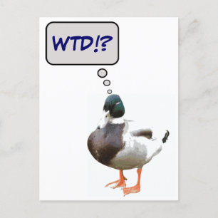 Que Cartão Postal Engraçado Do Duck WTD