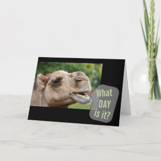 Que Dia É O Camel? Cartões de saudação de fotos