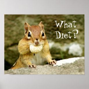 Que dieta? Poster do Chipmunk