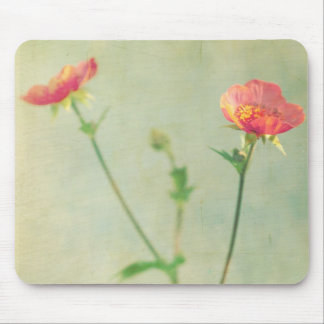 Que Mousepad seguinte