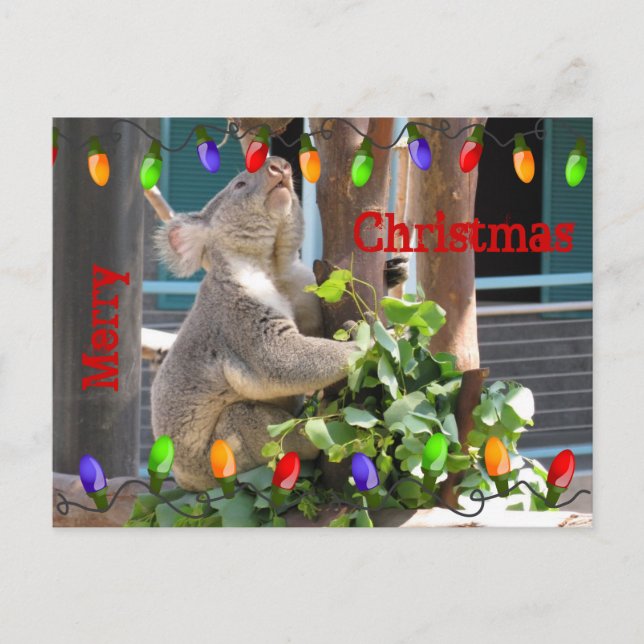 Que suas luzes brilhem. Cartão Postal (Frente)