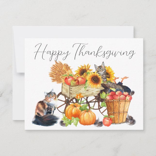 Que Turquia? Gatos Inocentes - Convite para Ação d (Frente)