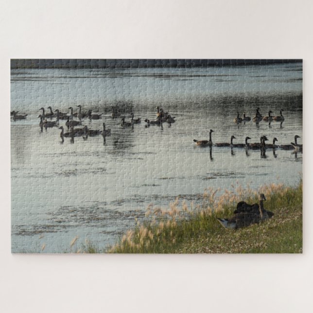 Quebra-cabeça (Horizontal)