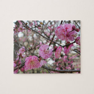 Quebra-cabeça 桜 do (cor-de-rosa da flor de cerejeira/Sakura/