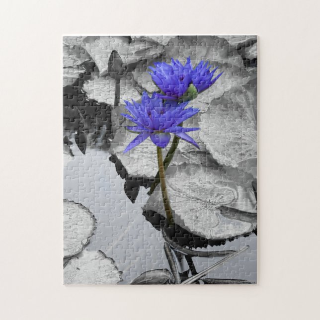 Quebra-cabeça 10 x 14 (Vertical)