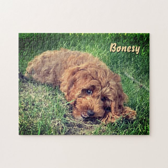 Quebra-cabeça 11x14 de Golden Doodle Fofo (Horizontal)