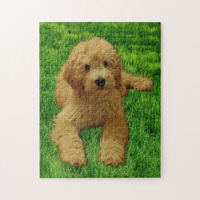 Quebra-cabeça 11x14 Rex O Goldendoodle (Vertical)