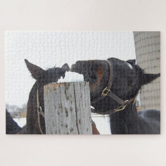 Quebra-cabeça 2 Cavalos mastigando uma cerca de neve