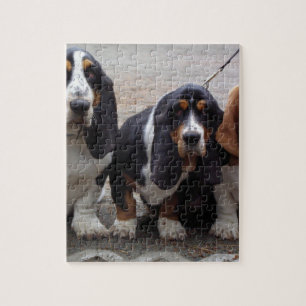 Quebra-cabeça 3 filhotes de basset hound