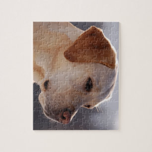 Quebra-cabeça 3 Labrador_Retriever.png