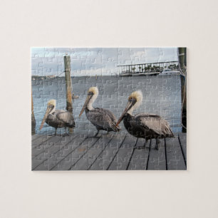 Quebra-cabeça 3 Pelicanos seguidos