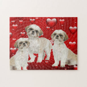 Quebra-cabeça 3 Shih Tzu Puppies com fundo cardíaco