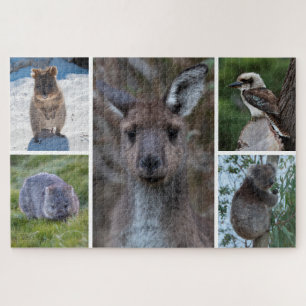 Quebra-cabeça 5 em 1 Animais da Austrália, 1014 pedaços